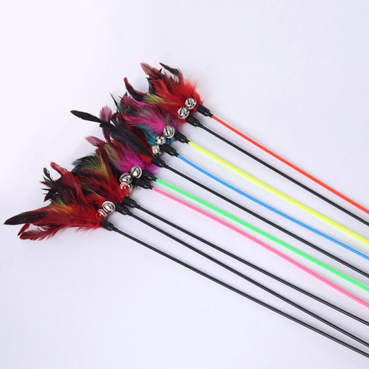 funny cat stick