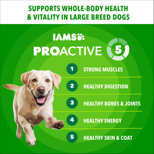 Makanan Anjing Kering Dewasa Ras Besar Iams Proactive Health