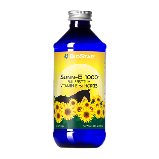 Sunn-E 1000
