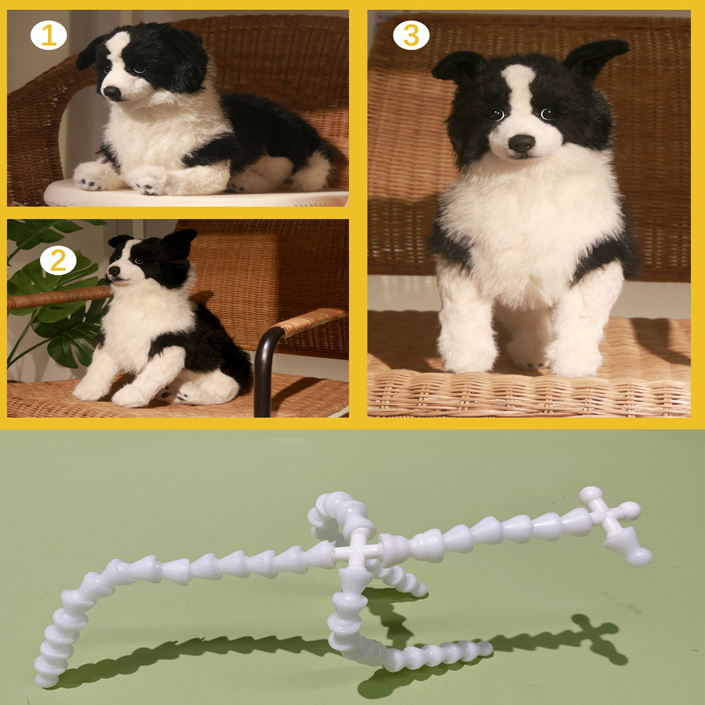 Posture(Dog)