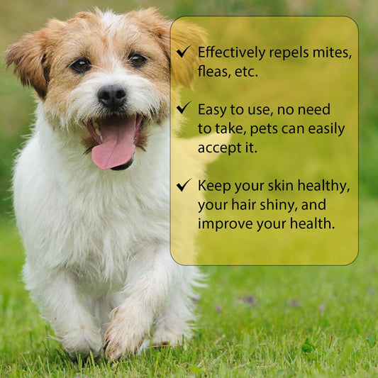 Cat And Dog Cleaning External Fleas Lice Ticks Skin Care