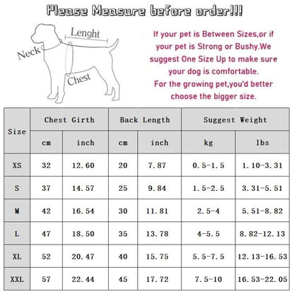 Cat Clothes, Bear Two-legged Cotton-padded Clothes For Kittens, With Fleece Added For Warmth In Autumn And Winter. Two-legged Small Dog Pet Clothing