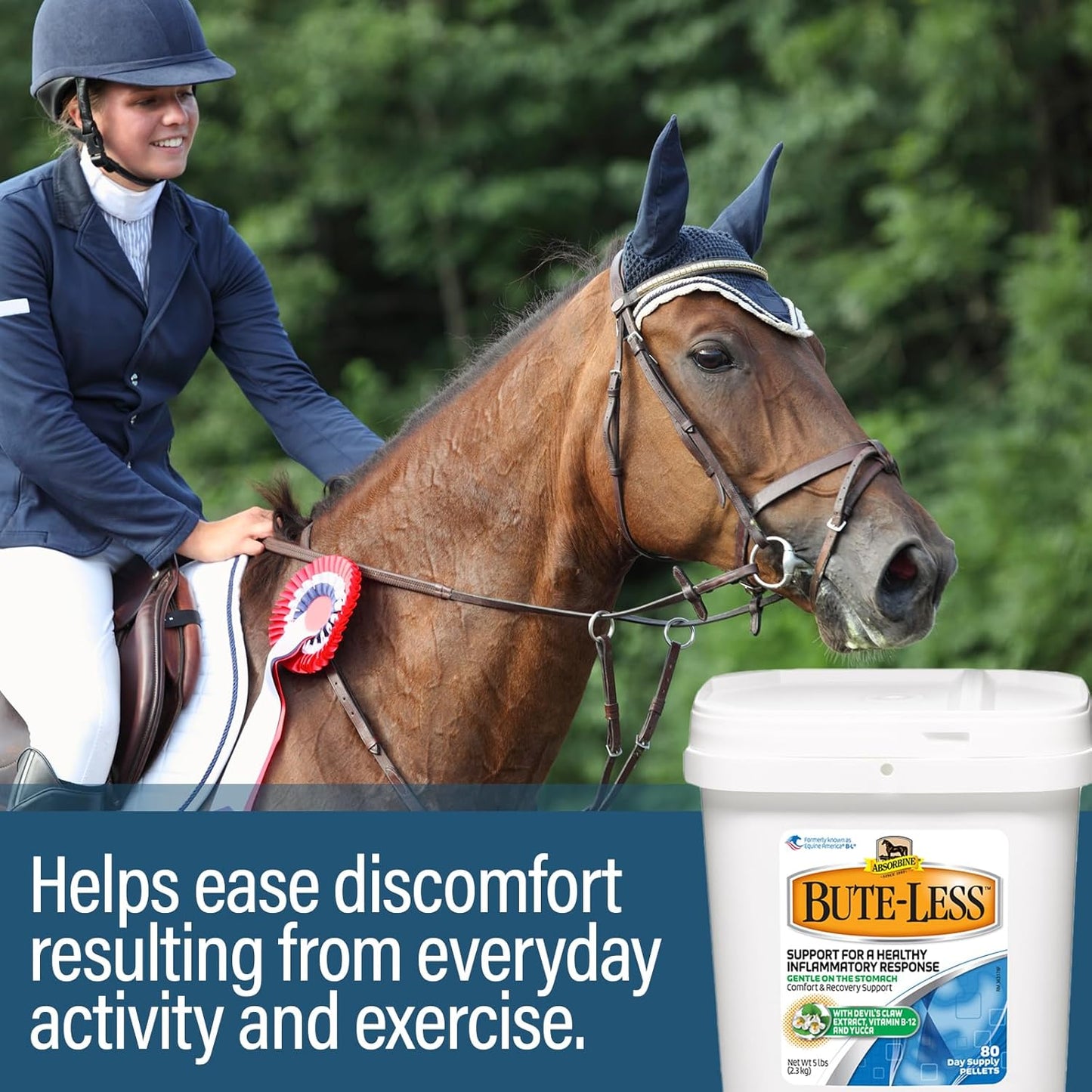 Absorbine Bute Less Pelet Dukungan Pemulihan Kuda 5 lbs.