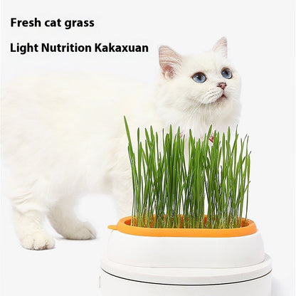 Lazy Soil-free Hydroponic Planting Wheat Seed Cultivation Cat Grass Basin