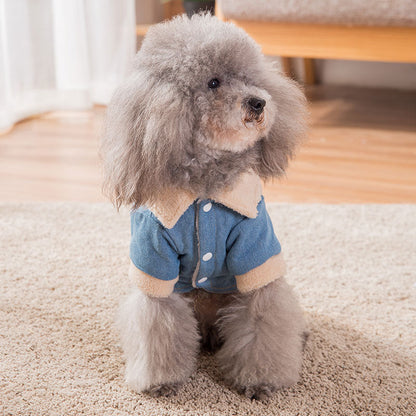 Thick warm clothes for pets