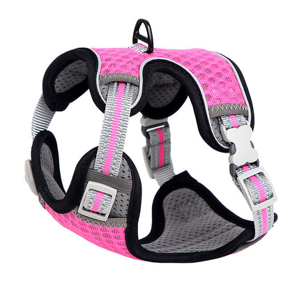 Going Out For A Cat Walk, Pet Cat Chest Strap