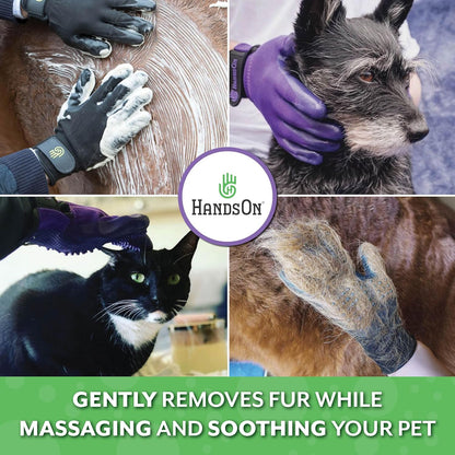 Sampo Anjing Piccardmeds4pets Aloe Oats 16oz + Sarung Tangan Grooming HandsOn Ukuran S Kit Lengkap