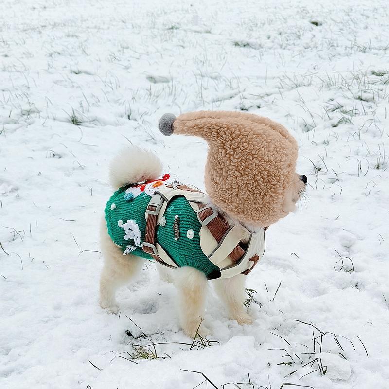 Cute Casual Winter Pet Hooded Hat
