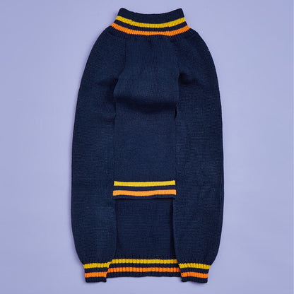 New Halloween Pumpkin Pet Sweater In Blue