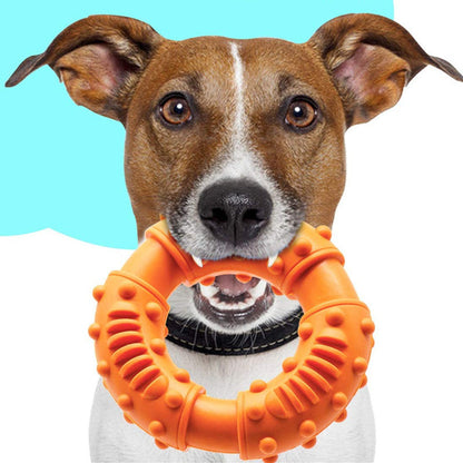 Dog Fetching Stick Bouncy Hollow Interactive Toy For Puppies Large Dogs Floatable Stick Lightweight Chewy Toy For Catch Fetch