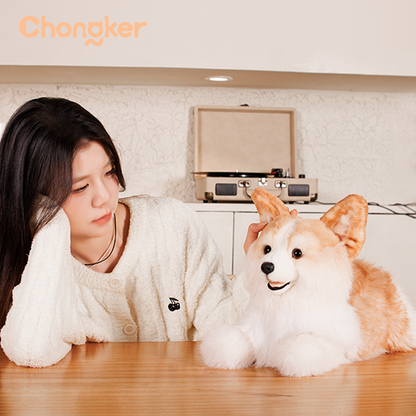Corgi Dog Plush – Soft Gift for Dog Lovers & Kids