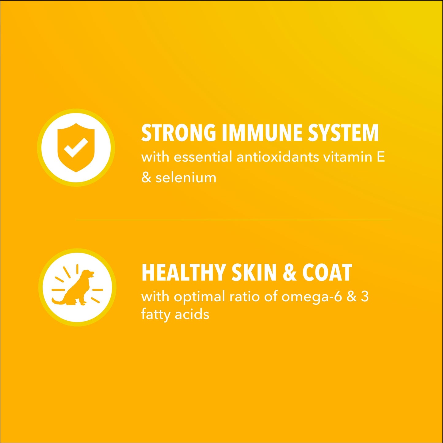 IAMS Proactive Health Puppy Food