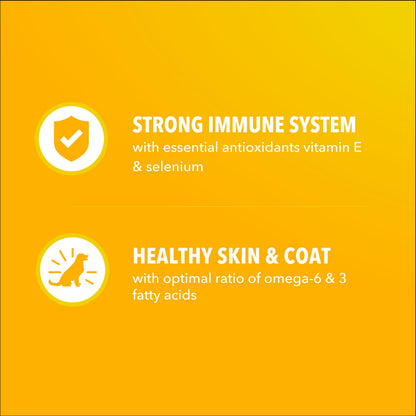 IAMS Proactive Health Puppy Food