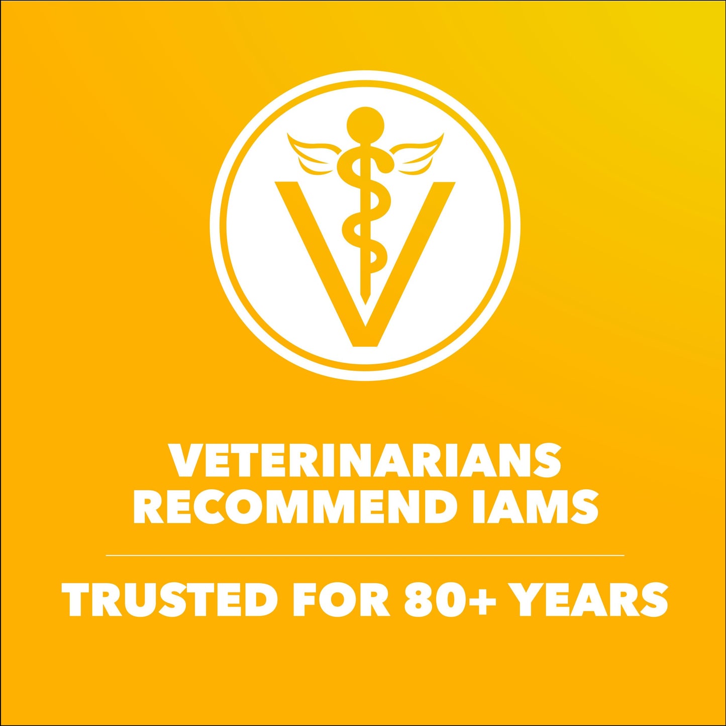IAMS Proactive Health Puppy Food