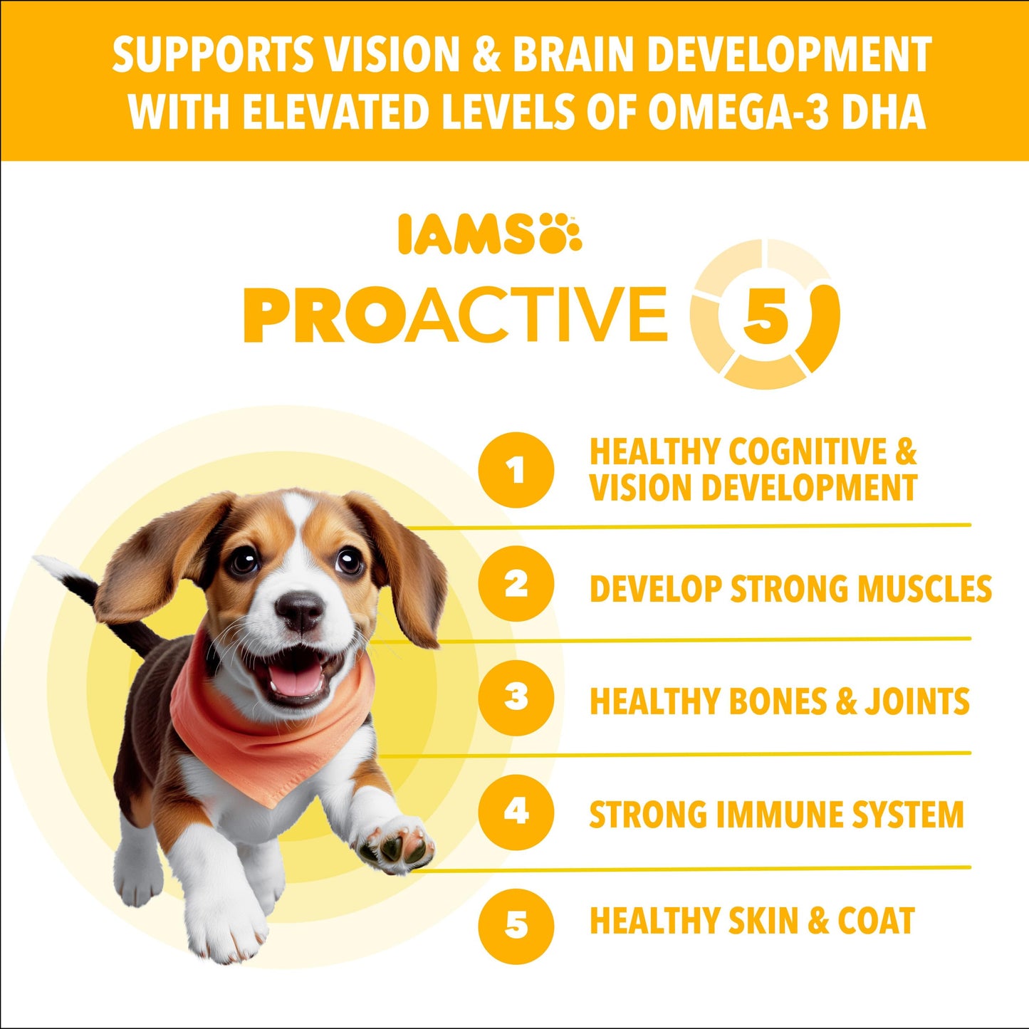 IAMS Proactive Health Puppy Food