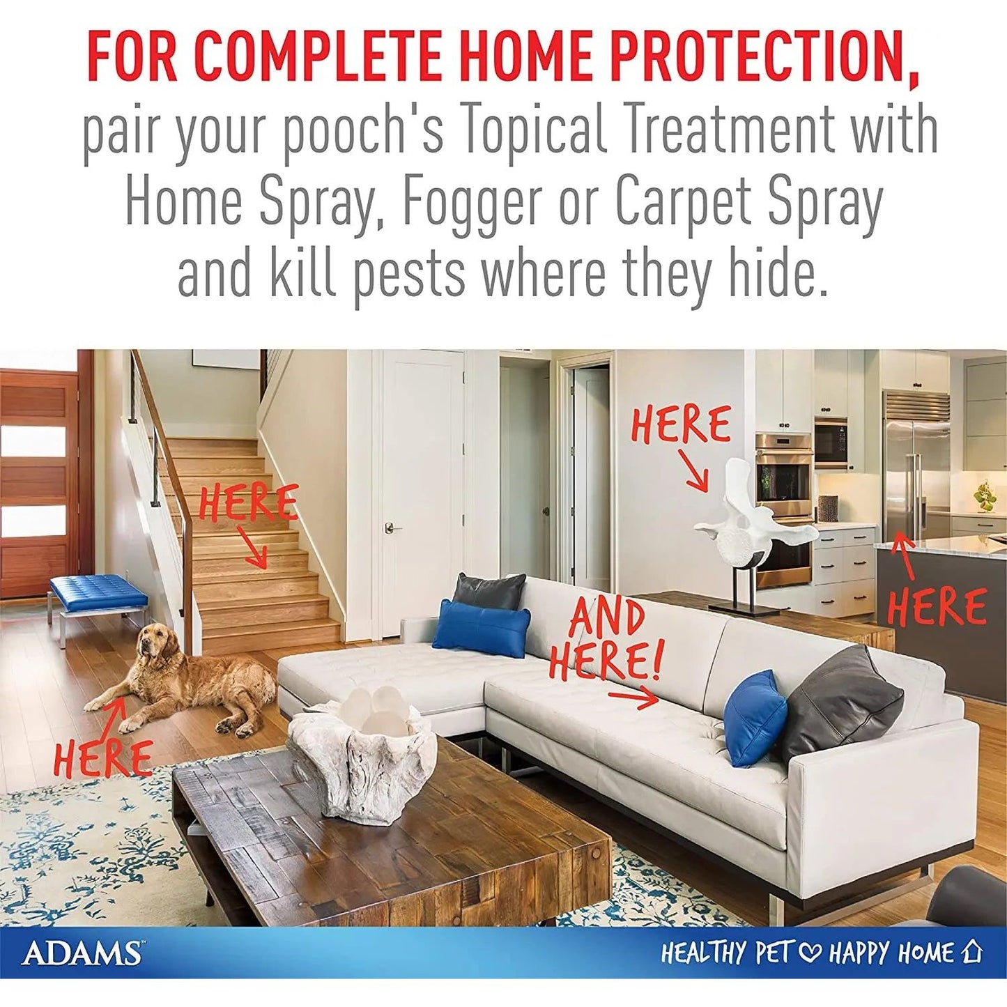 Adams Plus Flea and Tick Spot On for Large Dogs 31-60 lbs.