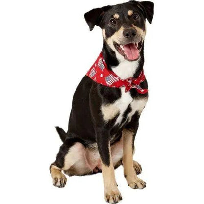 Aria Paws N' Stripes Forever Bandanas for Dogs