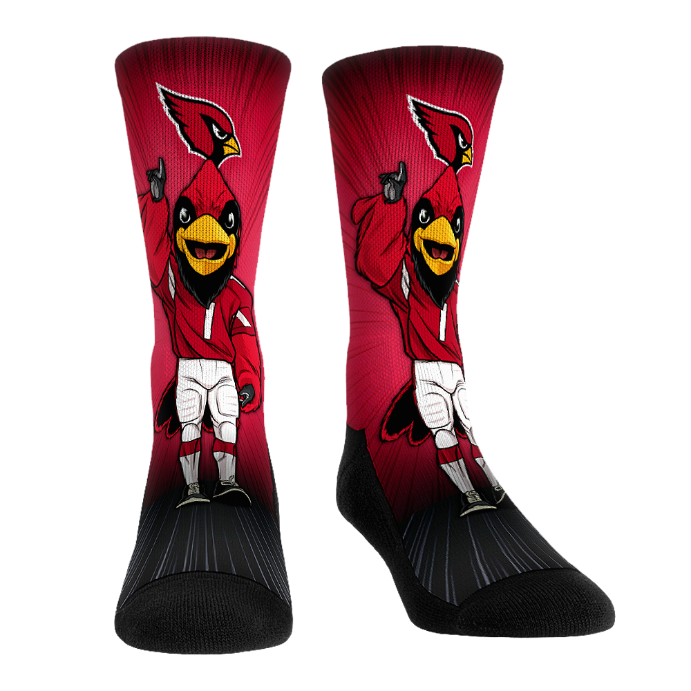 Arizona Cardinals - Mascot Pump Up!
