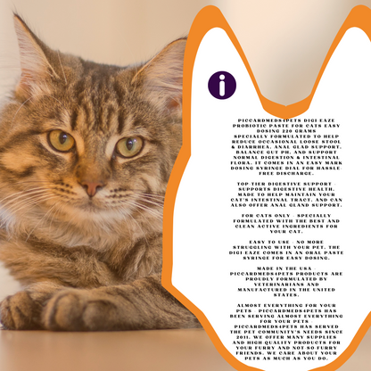 Piccardmeds4pets Digi-Eaze Probiotic Pasta untuk Kucing Dosis Mudah 220 Gram