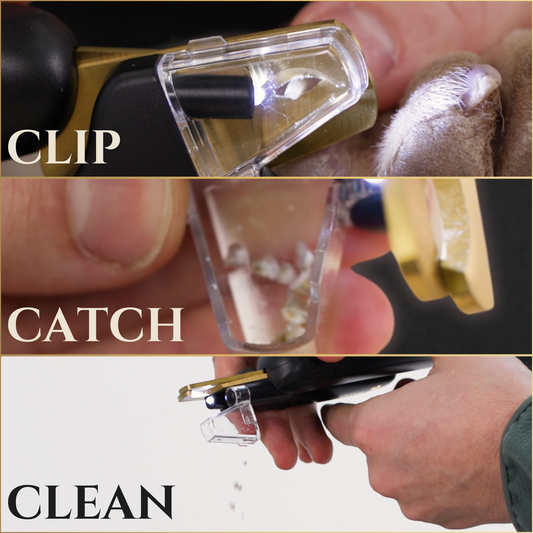 Gunting Kuku 3-in-1