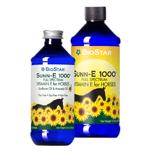 Sunn-E 1000