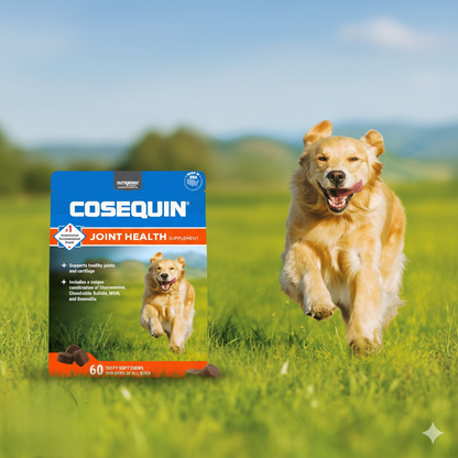 Nutramax Cosequin DS Plus MSM Professional Line Dog Soft Chews 60ct Joint Support