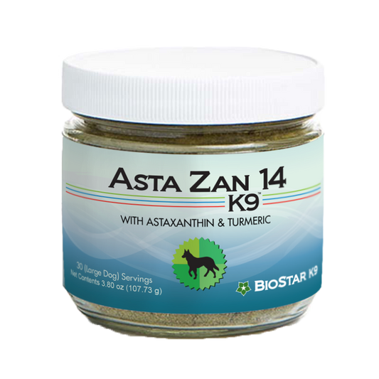 Asta Zan 14K9
