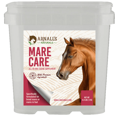 Mare Care: Wellness & Maintenance For Mares