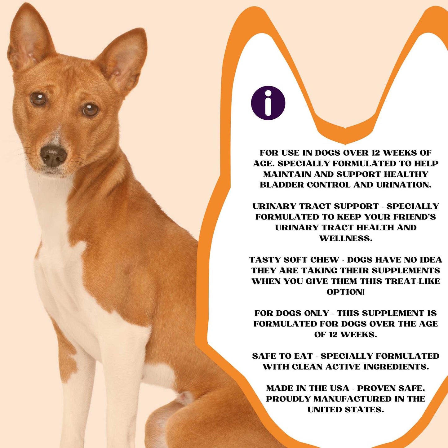 PiccardNaturePets Pee-Well Urinary Bladder Support Kunyahan Lunak untuk Anjing 60 Hitungan