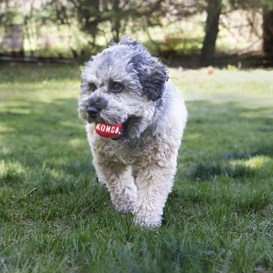 Kong Signature Balls (2pk)