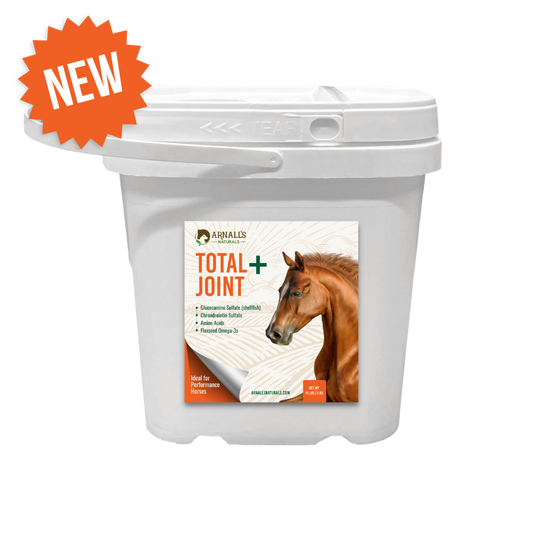 Total Plus: Total + Sendi