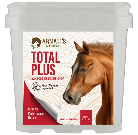 Total Plus: Kebugaran dan Pemeliharaan Kinerja