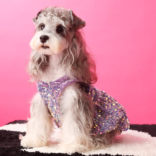 Female Dog Clothes Autumn Dress Velvet Sequins