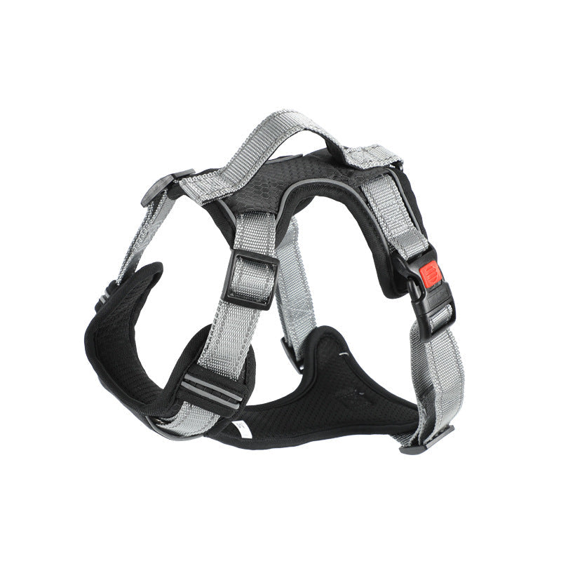 Dog Hand Holding Rope Vest Dog Chest Strap