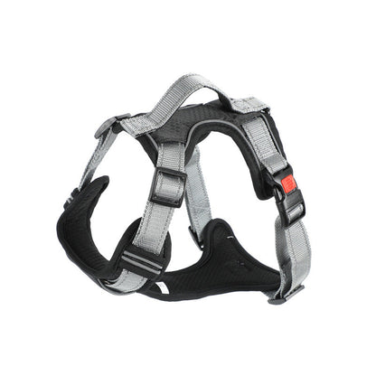 Dog Hand Holding Rope Vest Dog Chest Strap