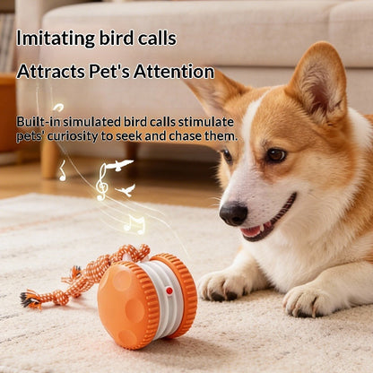 Pet Plastic Toy Rechargeable Rolling Ball For Cats And Dogs Durable And Interactive