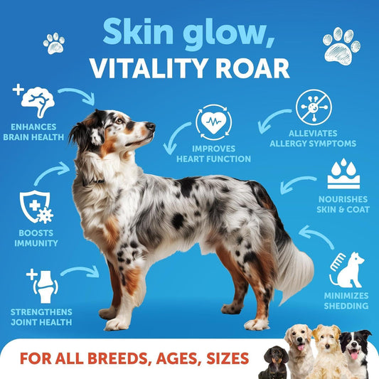 Minyak Salmon untuk Anjing 16 fl oz Omega-3 Alaska Liar