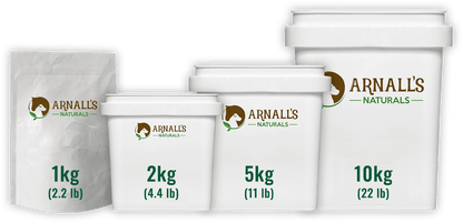 Total Plus: Performance Wellness and Maintenance
