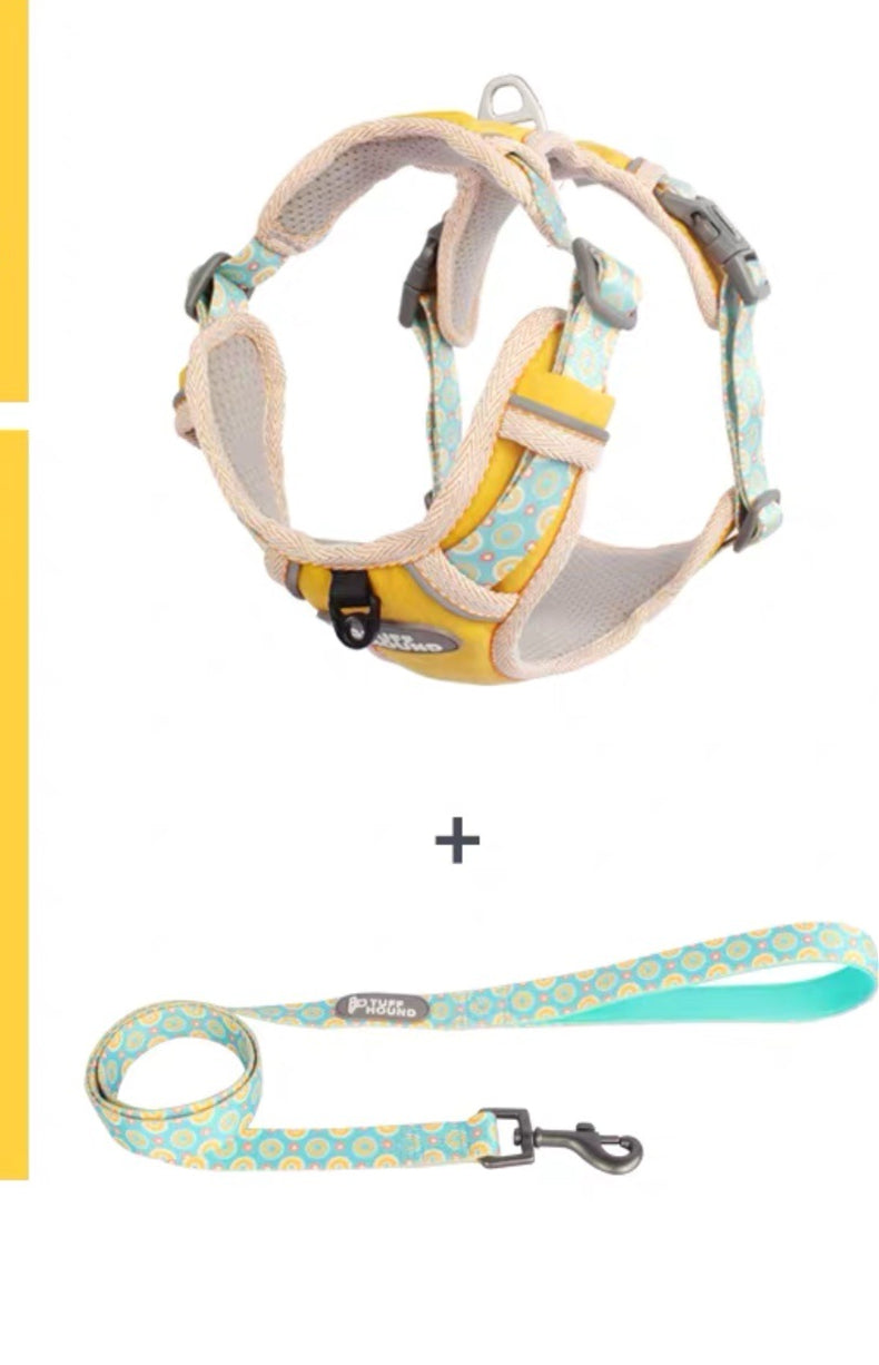 The Dog's Chest Strap Goes Out And Walks Leash