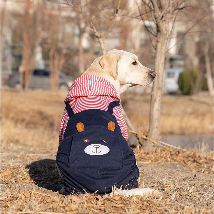 Big Clothes Year Medium-sized Large Dog