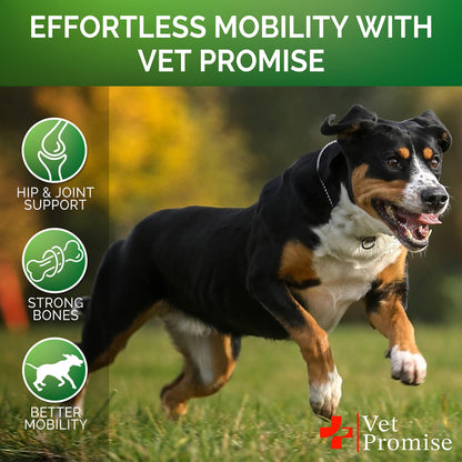 Glucosamine for Dogs 170 Mobility Chews Chondroitin MSM & Hemp
