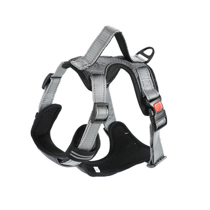 Dog Hand Holding Rope Vest Dog Chest Strap