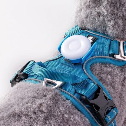 LED Lights Prevent Getting Lost And Emit When Walking A Dog At Night