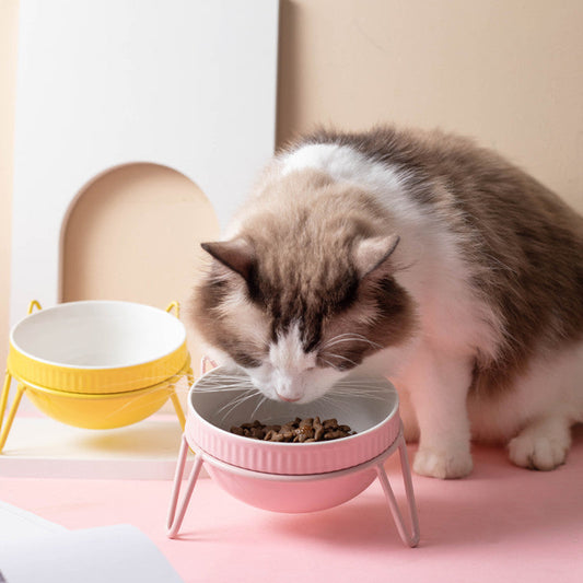 Ceramic Pet Bowl High Foot Neck Protection Snacks Anti-black Chin Oblique Mouth
