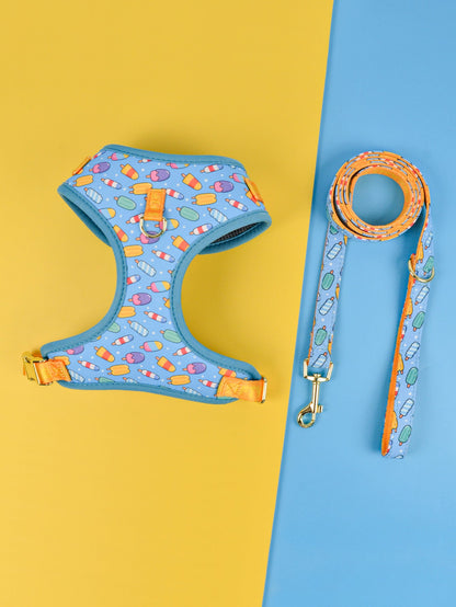 Summer Cute Pet's Chest-back Haulage Rope Package Suitable For Medium And Large Pet Dogs